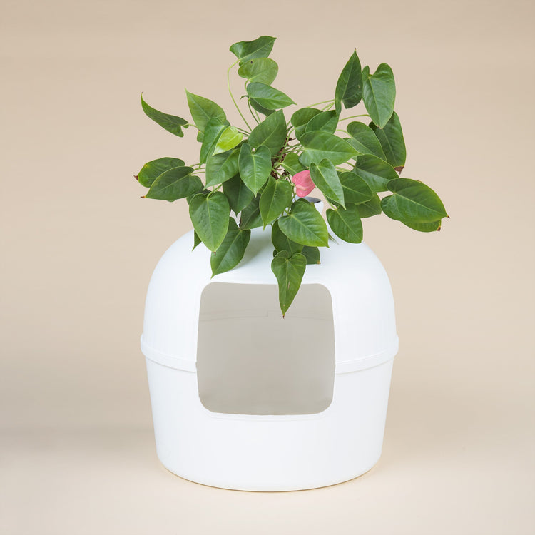 Litter Box Flower XXL, Hidden Cat Toilet (White)