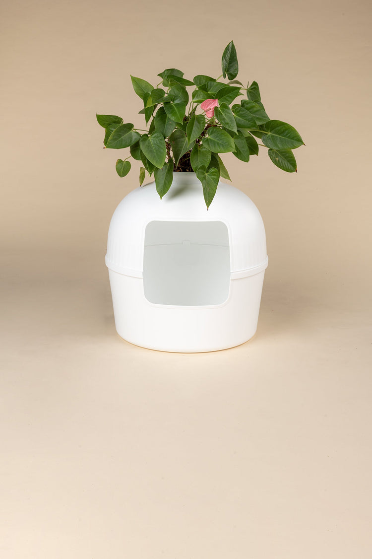 Litter Box Flower XXL, Hidden Cat Toilet (White)