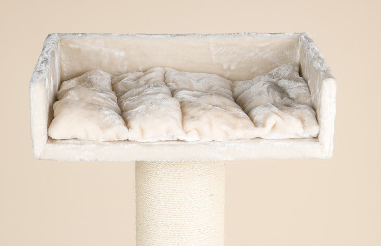 Cream Cushion, For Lounge Lying Area