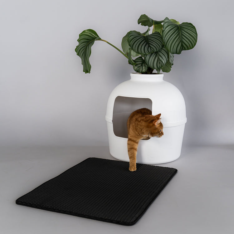 Cat Litterbox Mat Dirty Paw 75x55cm (Black)