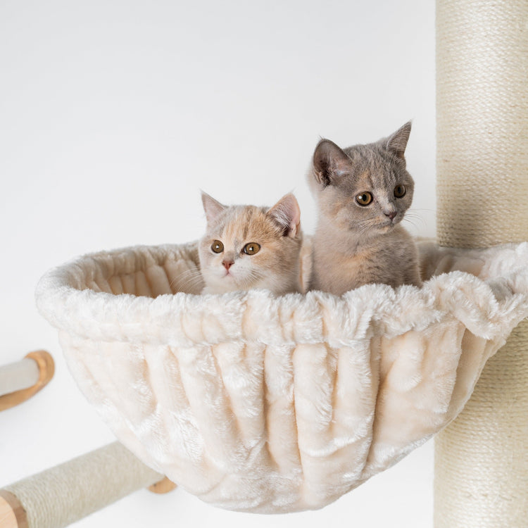 Cat Climbing Wall - Wall Sisalpole XXL with 45Ø Hammock de Luxe (Beige)