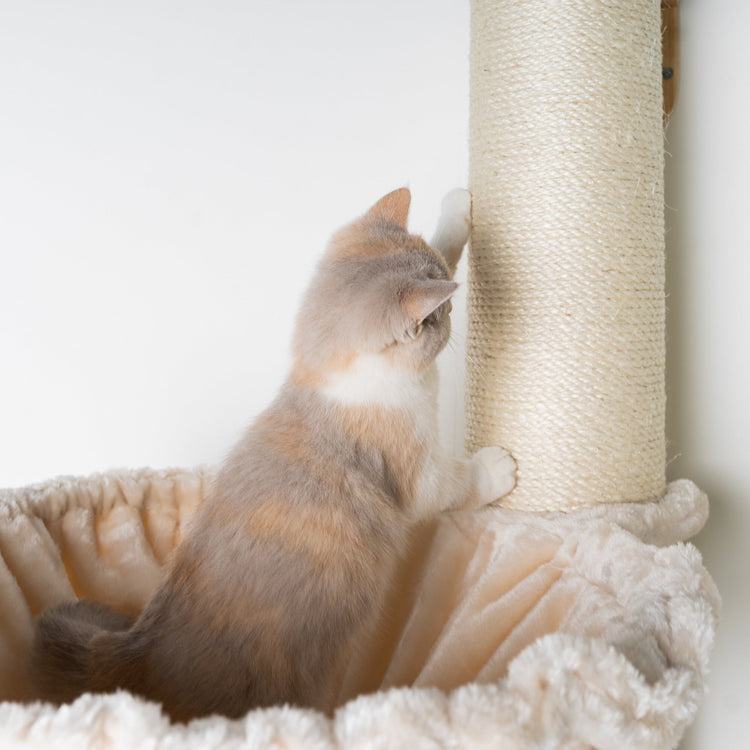 Cat Climbing Wall - Wall Sisalpole XXL with 45Ø Hammock de Luxe (Beige)