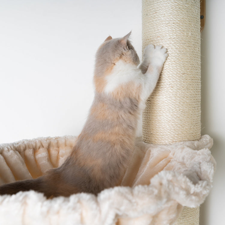 Cat Climbing Wall - Wall Sisalpole XXL with 45Ø Hammock de Luxe (Beige)