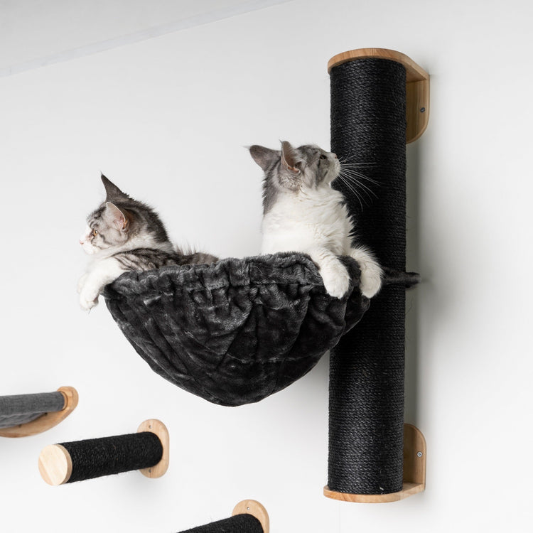 Cat Climbing Wall - Wall Sisalpole XXL with 45Ø Hammock de Luxe Blackline (Dark Grey)