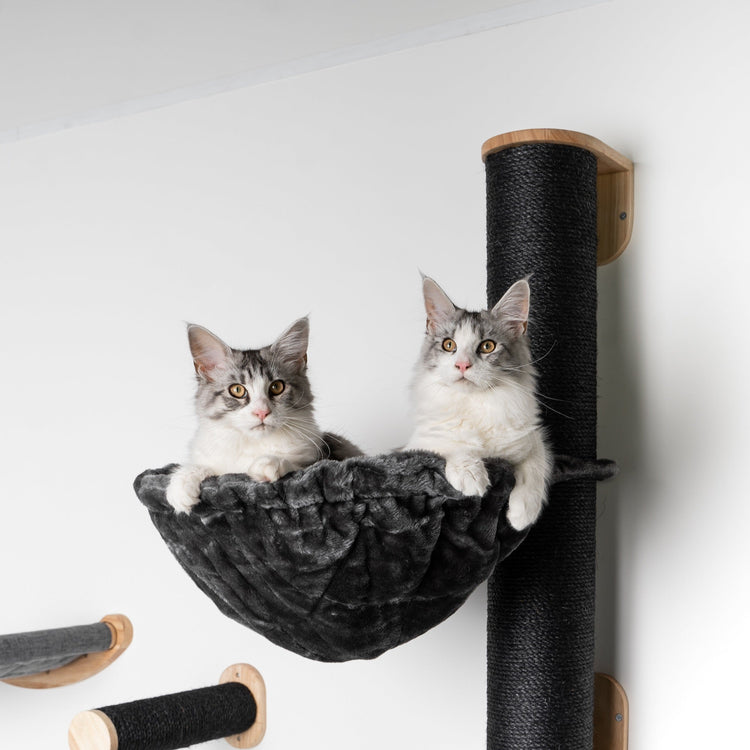 Cat Climbing Wall - Wall Sisalpole XXL with 45Ø Hammock de Luxe Blackline (Dark Grey)
