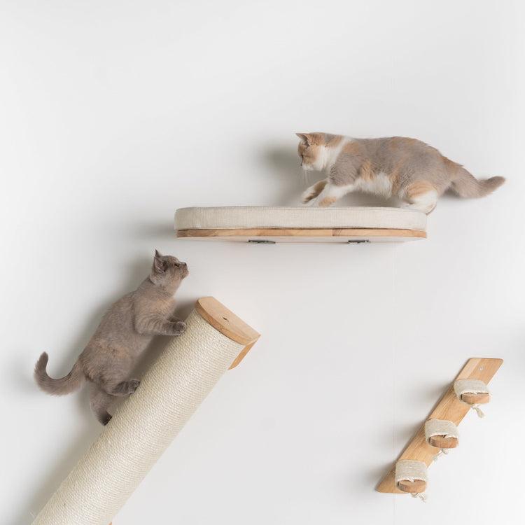 Cat Climbing Wall - Luxury Cat Wall Bed (Beige)