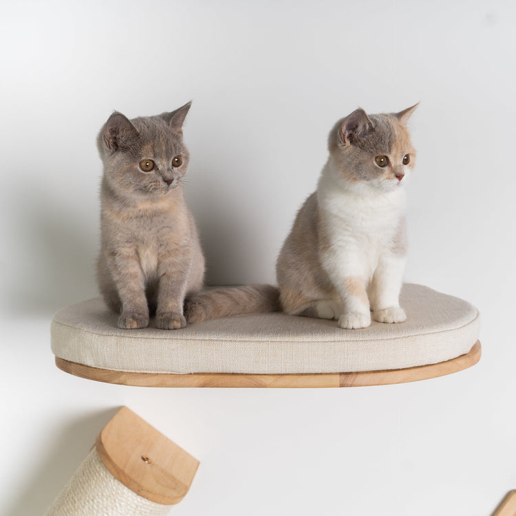 Cat Climbing Wall - Luxury Cat Wall Bed (Beige)