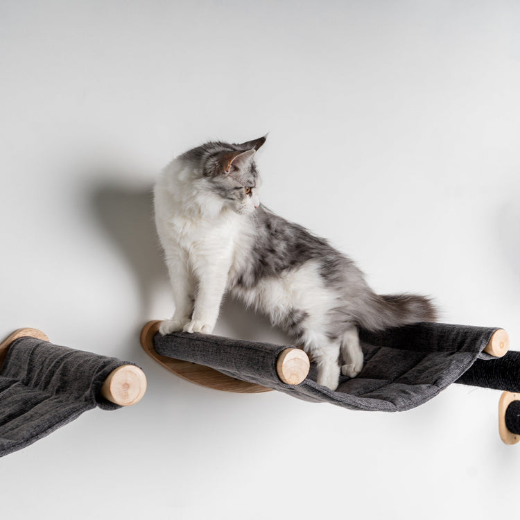Cat Climbing Wall - Luxury Wall Hammock XXL (Grey)