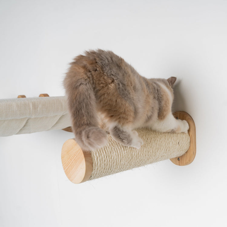 Cat Climbing Wall - Wall Sisalpole Set (Beige)