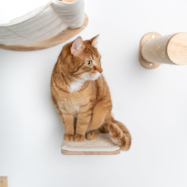 Cat Climbing Wall - Wall Steps - Set 3 (Beige)