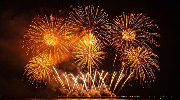 Dealing with New Year’s Eve: firework anxiety in cats