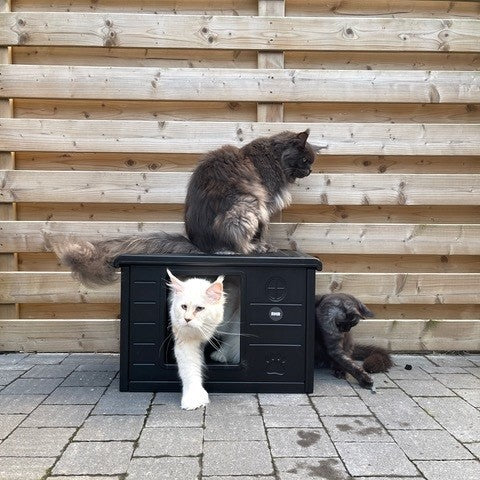 Cat House Villa de Luxe for Outside and Inside (Blackline)