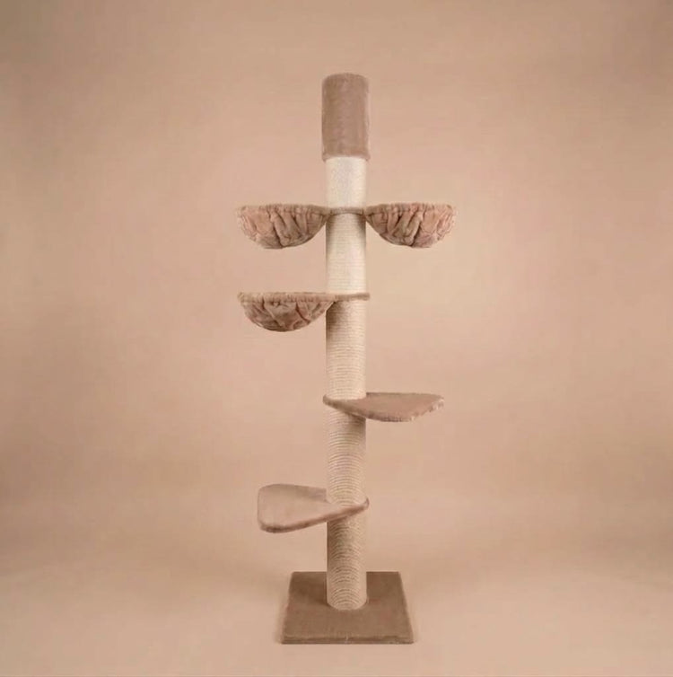 Cat Tree Maine Coon Tower Plus (Cappuccino Teddy) 235-255 cm