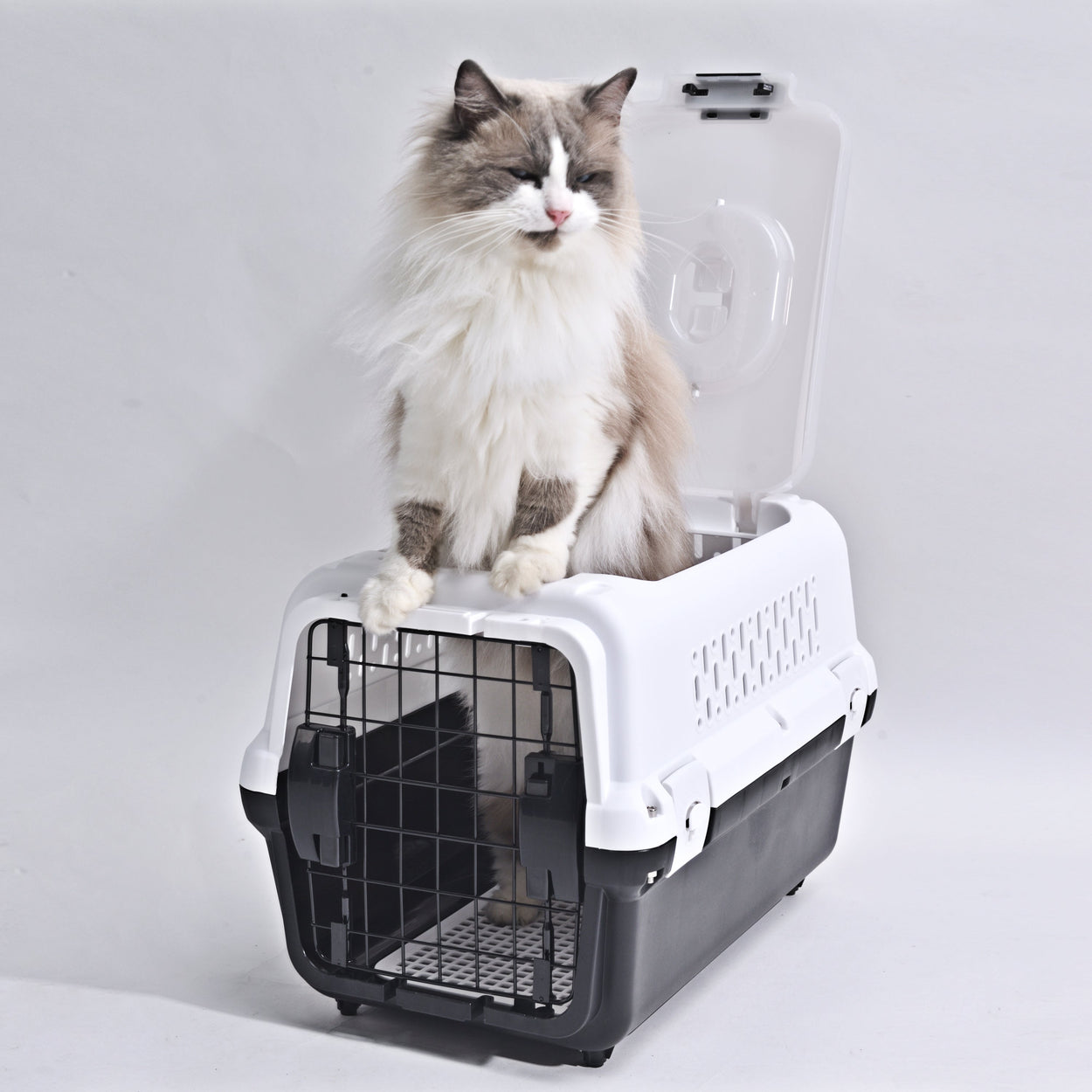 Travel basket with steel door for cats and dogs (Black) 50 x 50 x 35 cm