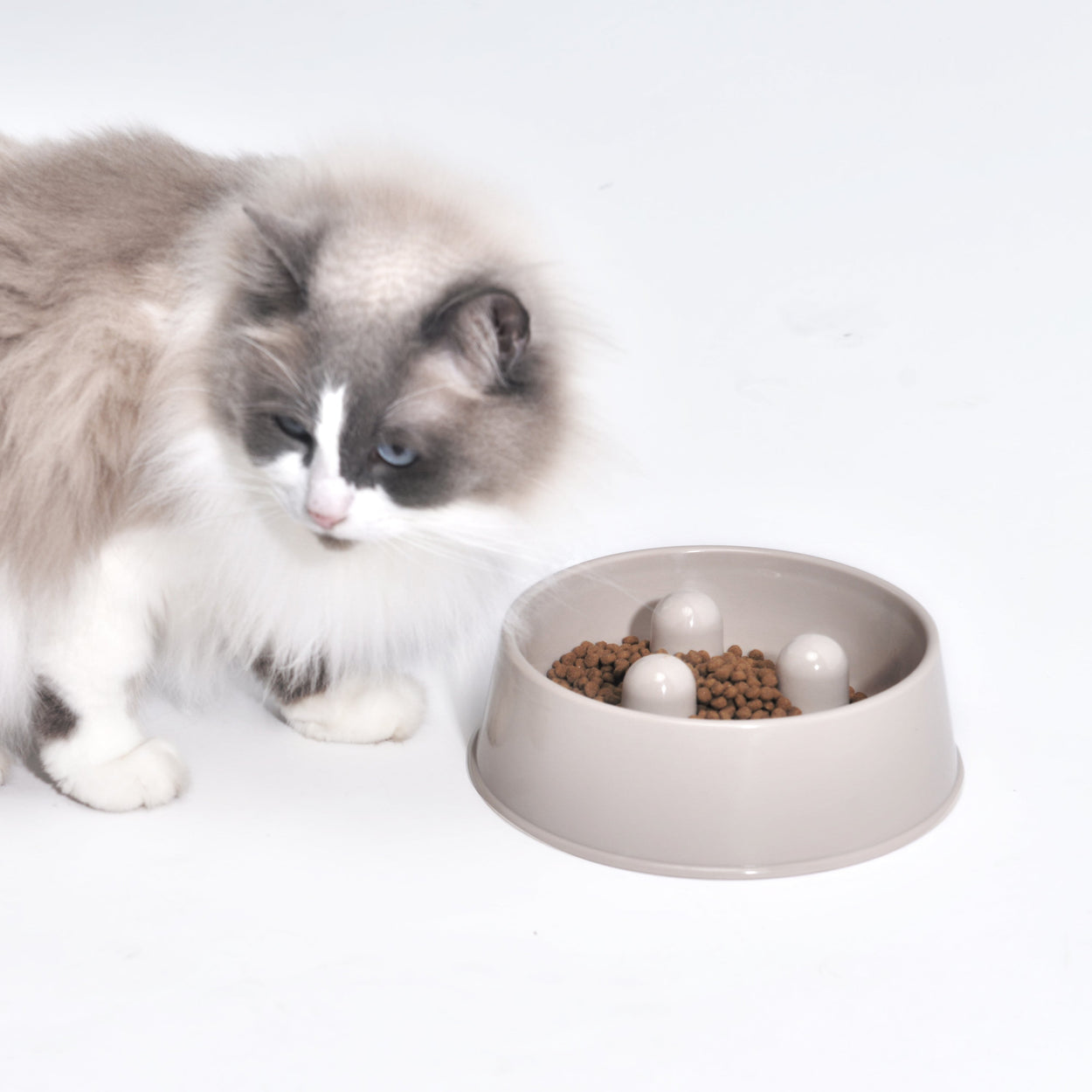 Slowfood Anti-Gulping Bowl Cat & Dog (Cappuccino) - Small Ø20cm