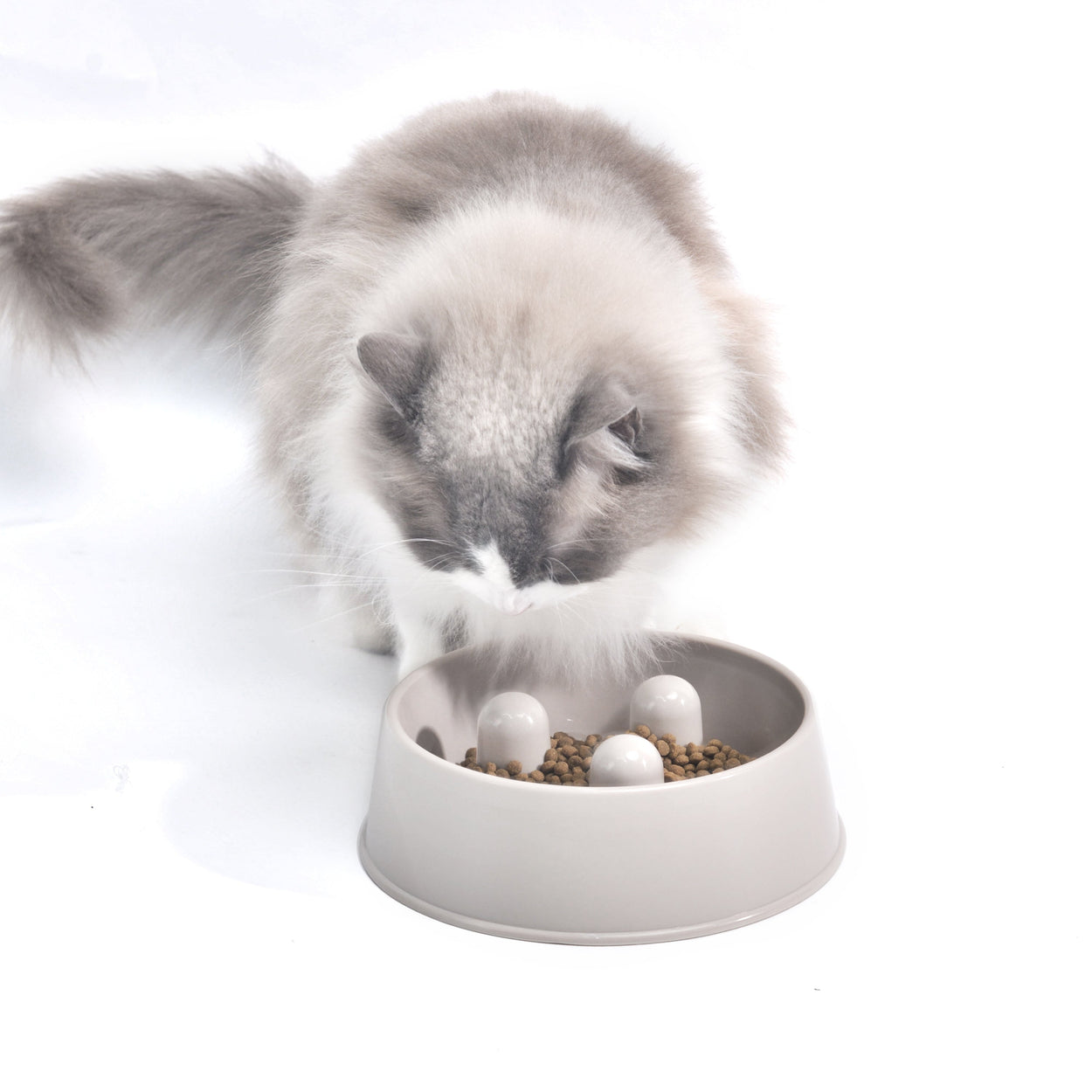 Slowfood Anti-Gulping Bowl Cat & Dog (Cappuccino) - Small Ø20cm