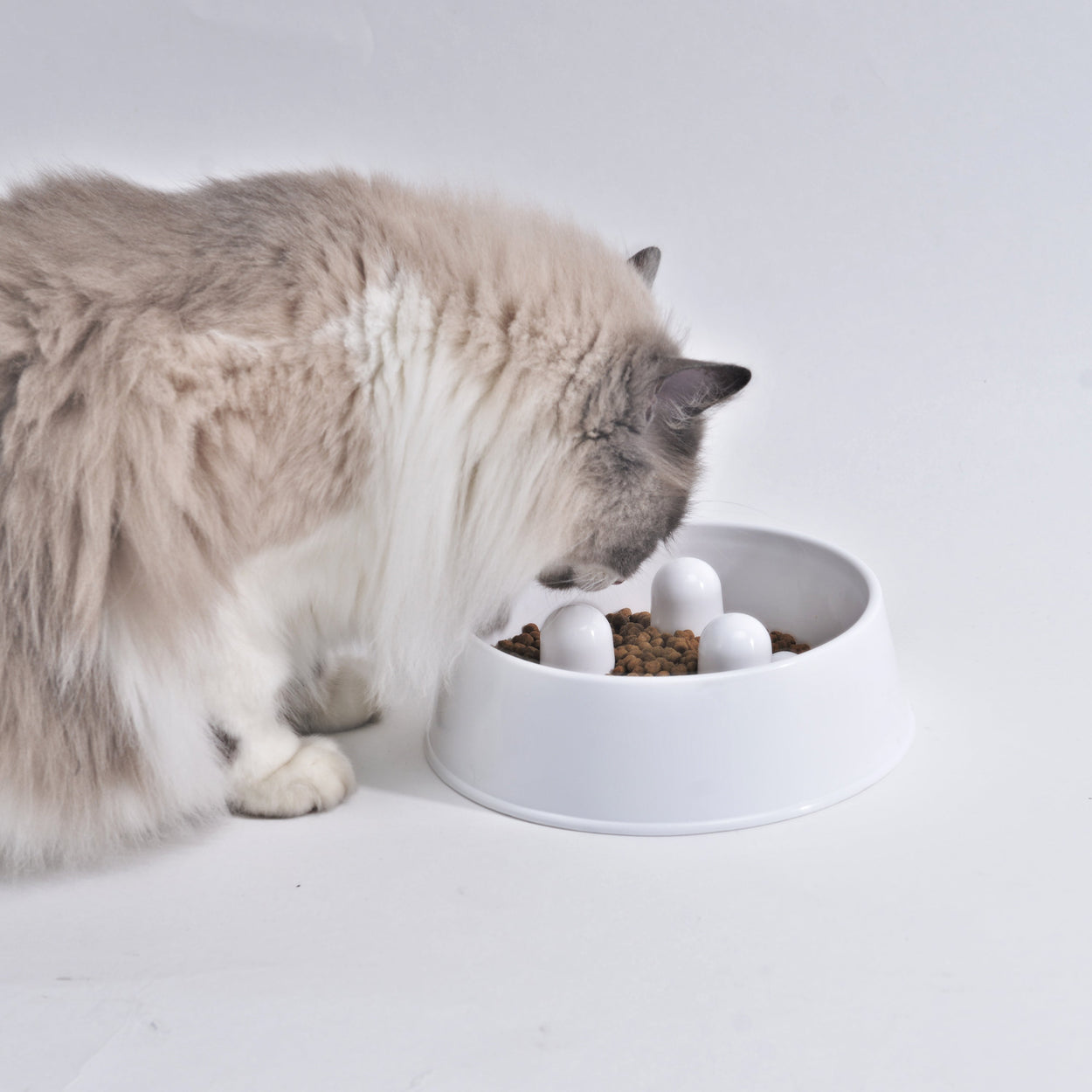 Slowfood Anti-Gulping Bowl Cat & Dog (White) - Small Ø20cm