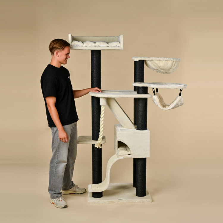 Cat Tree Kilimandjaro de Luxe Blackline Crown (Cream)
