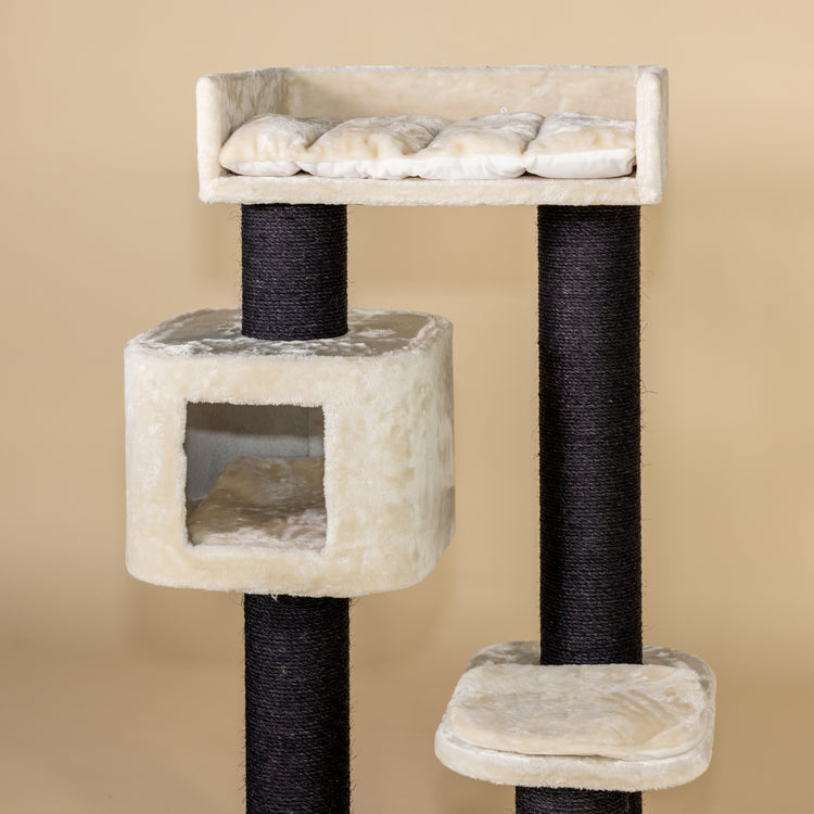 Cat Tree Devon Rex Blackline (Cream)