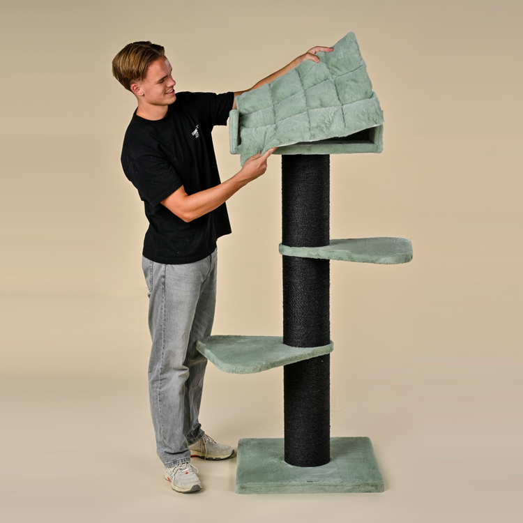Cat tree Royalty Blackline (Pistachio Teddy)