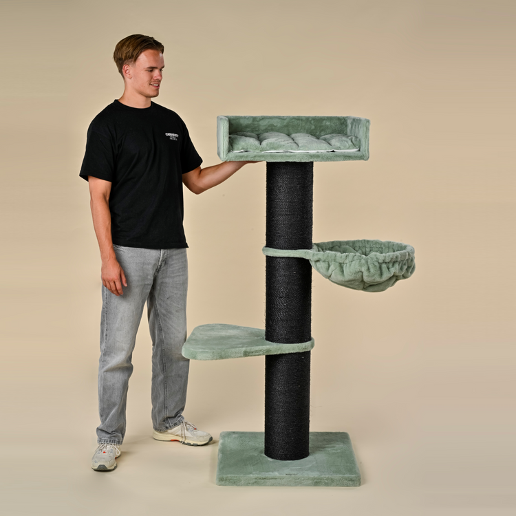 Cat tree Royalty Blackline De luxe (Pistachio Teddy)