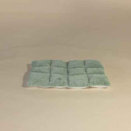 Pistachio Teddy Cushion, For Lounge Lying Area
