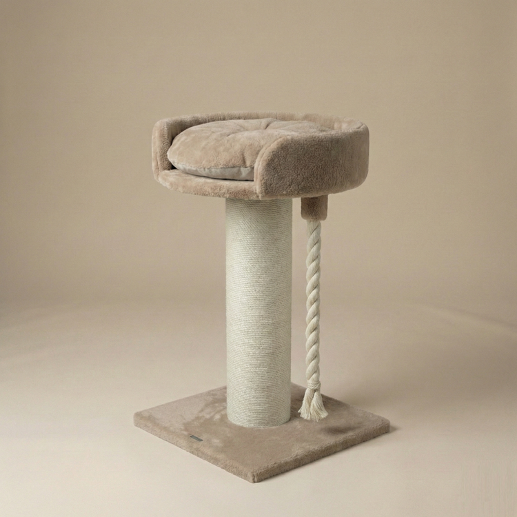 Cat Tree Chartreux (Cappuccino Teddy)