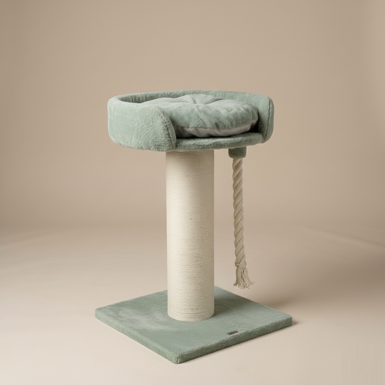 Cat Tree Chartreux (Pistachio Teddy)