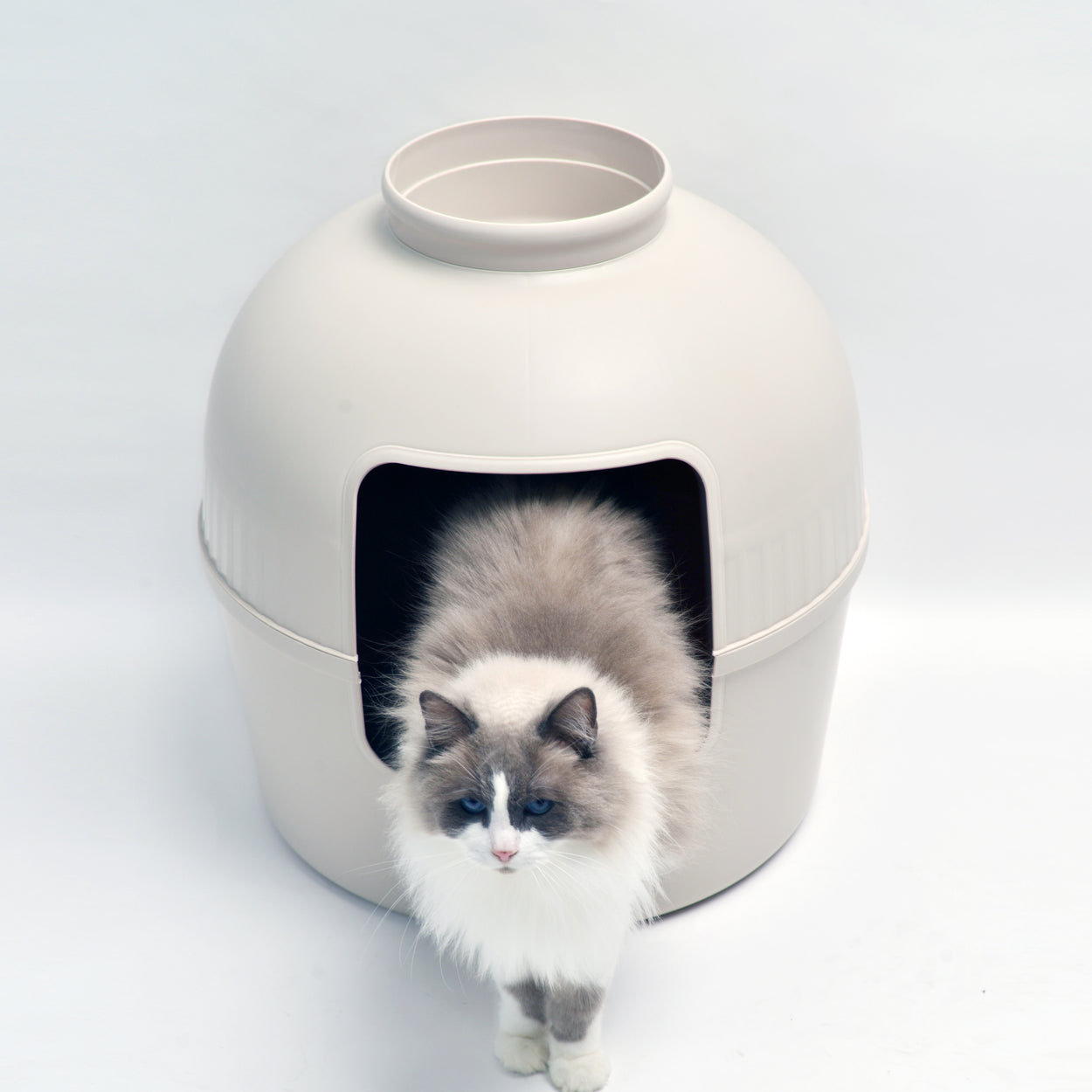 Litter Box Flower XXL, Hidden Cat Toilet (Cappuccino Cream)