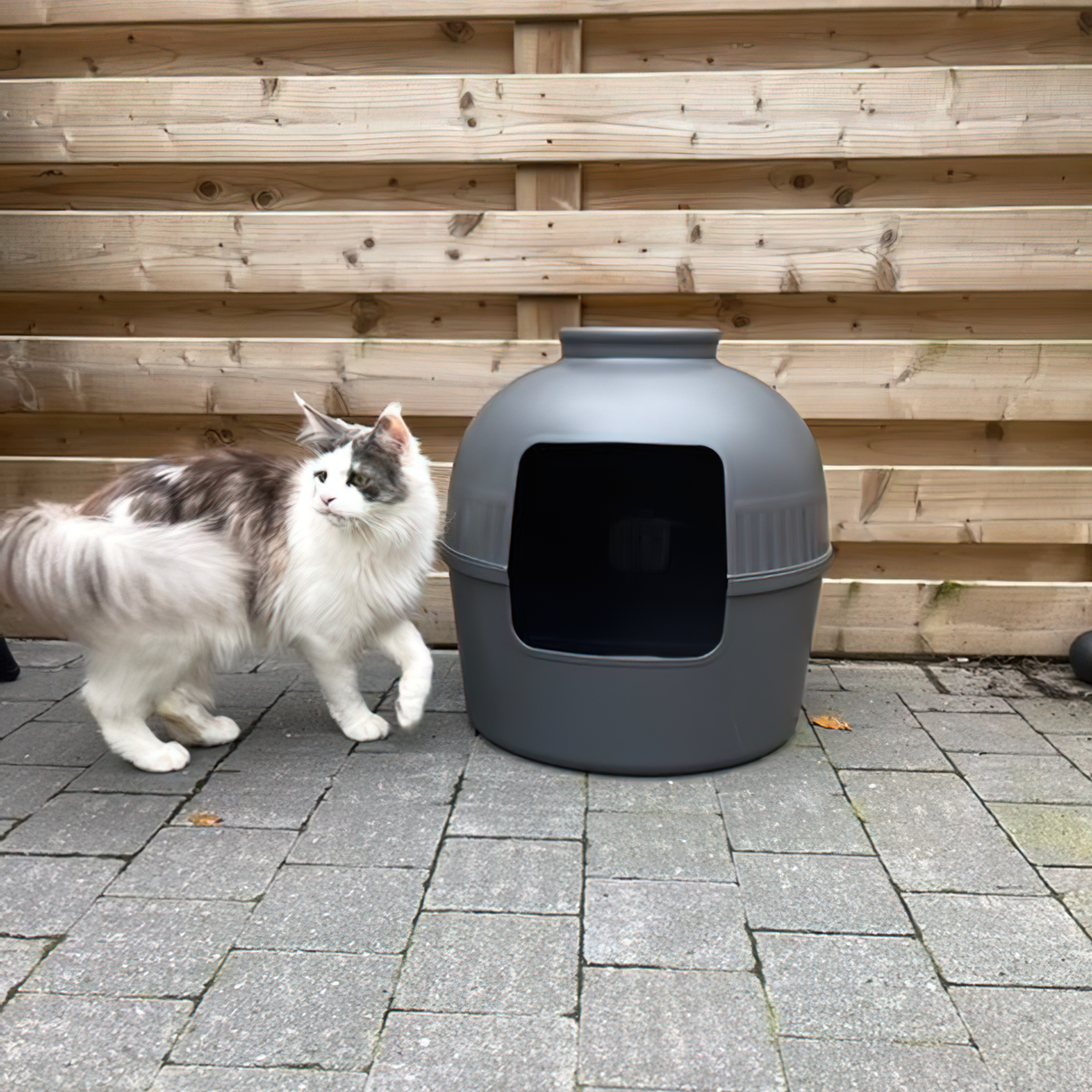 Cat litter box sales xxl