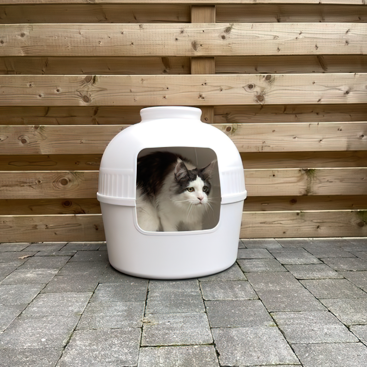 Hideaway cat box hot sale