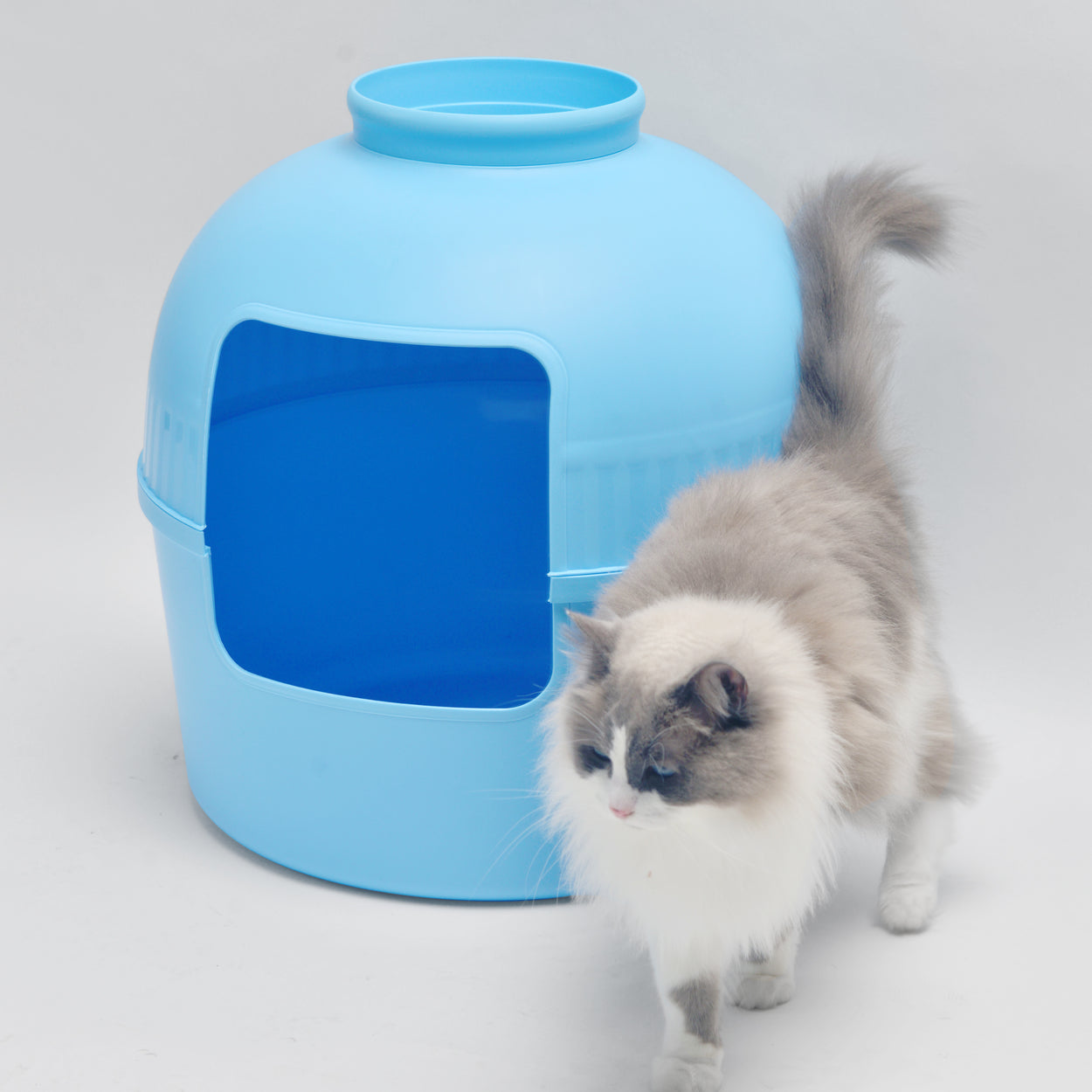 Litter Box Flower XXL, Hidden Cat Toilet (Fresh Blue)