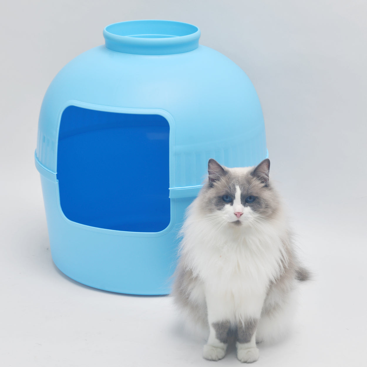 Litter Box Flower XXL, Hidden Cat Toilet (Fresh Blue)