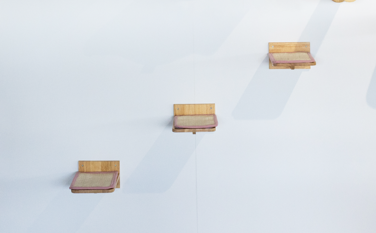 Wall Unit Climbing Wall Cat - Wall Shelves - Set of 3 (Pink)