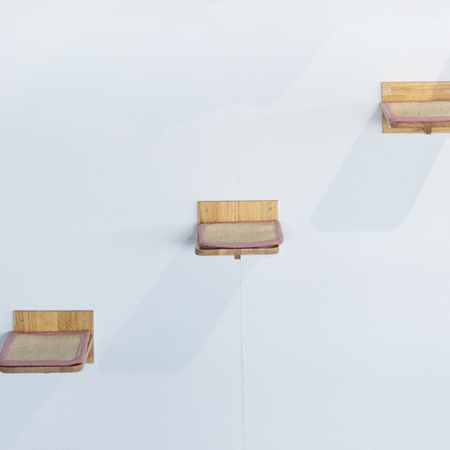 Wall Unit Climbing Wall Cat - Wall Shelves - Set of 3 (Pink)