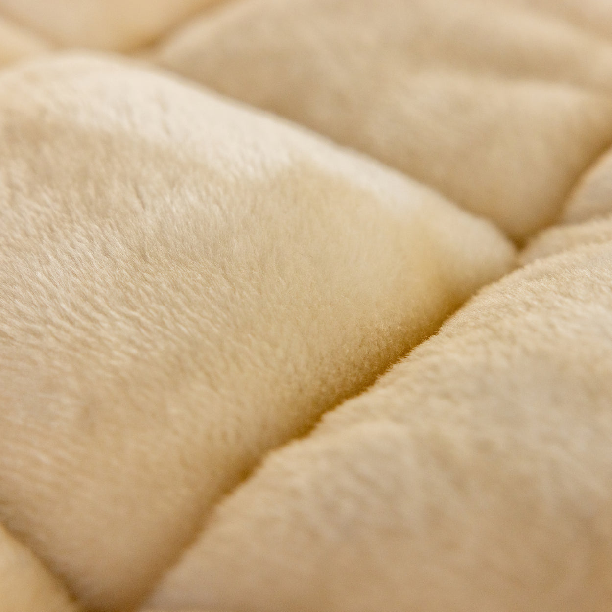 Cat Tree Maine Coon Lounge Sleeper Blackline (Cream)