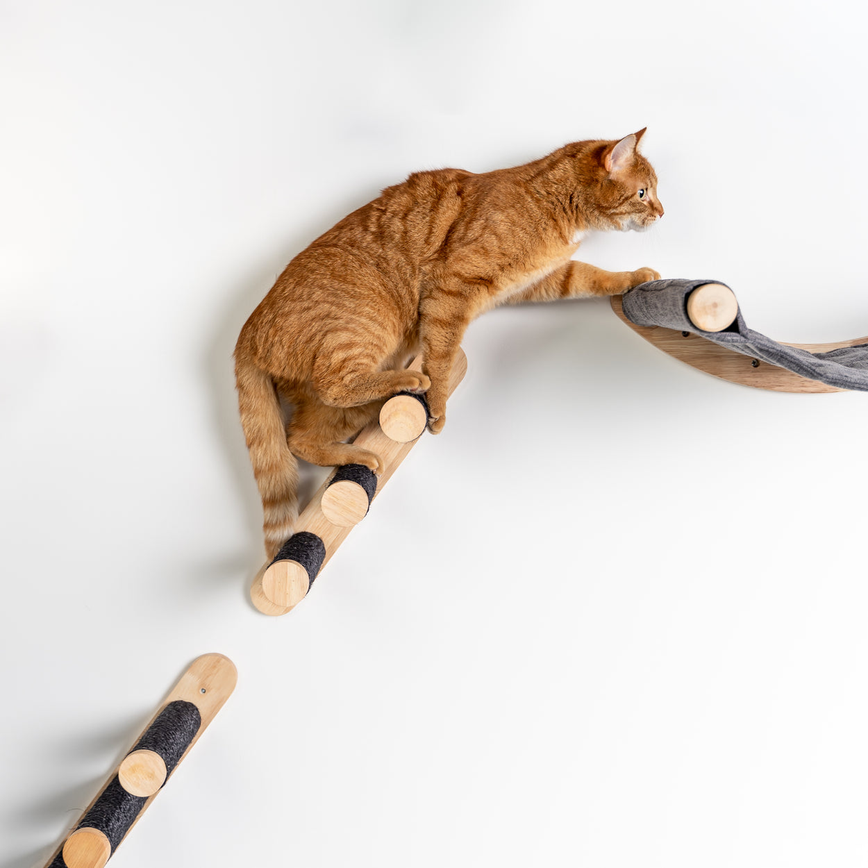 Everest Blackline Cream | Cat wall climbing and wall system set from RHR Pets
