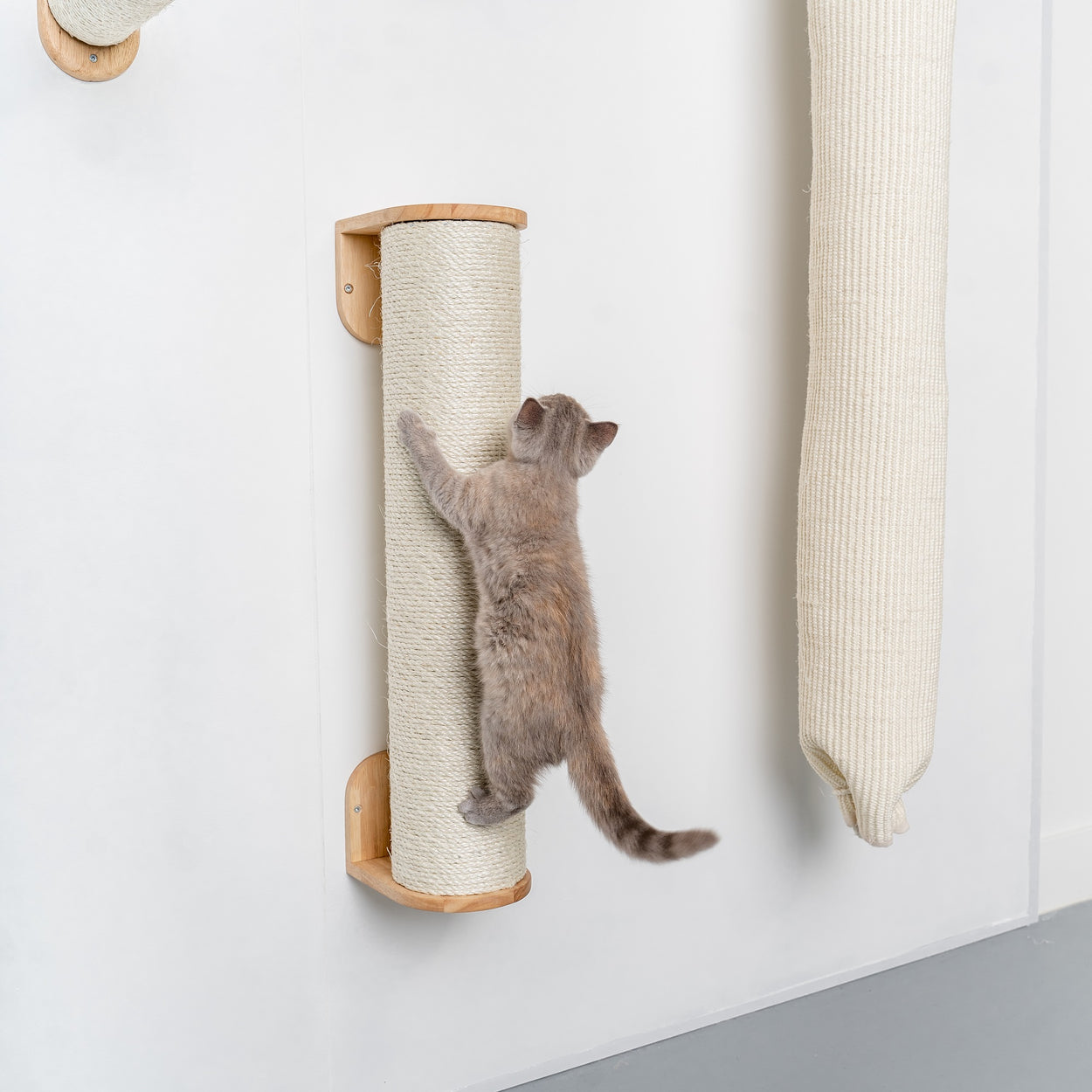 Everest Cream | Cat wall climbing and wall system set from RHR Pets