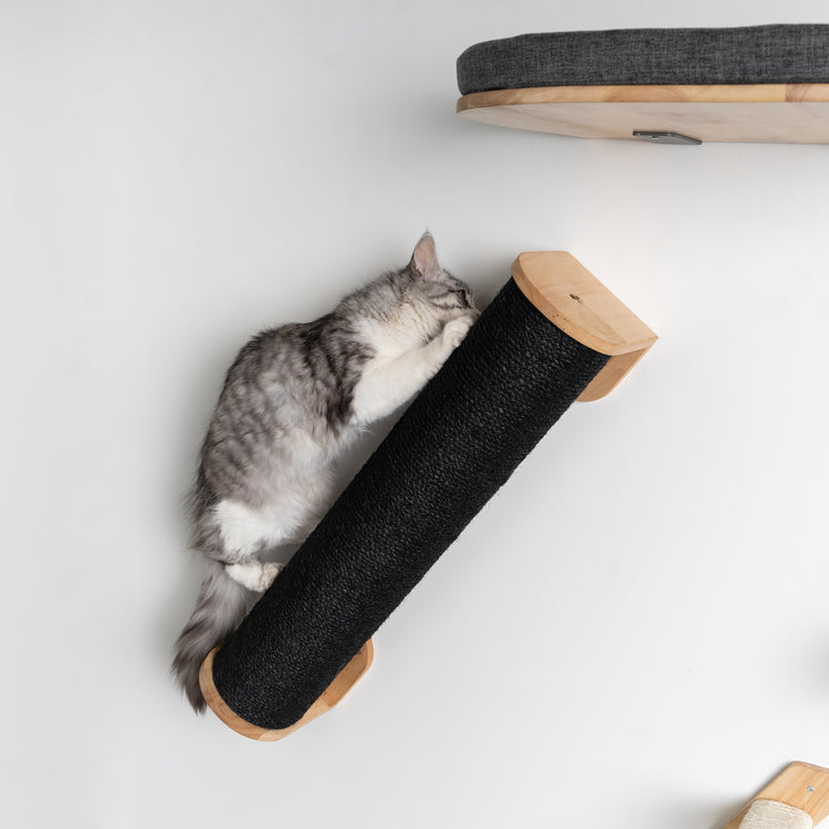 Everest Blackline Cream | Cat wall climbing and wall system set from RHR Pets