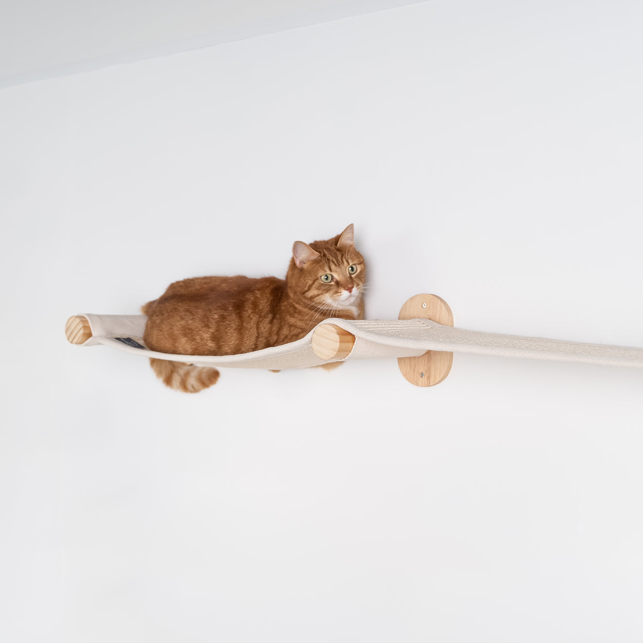 Everest Cream | Cat wall climbing and wall system set from RHR Pets