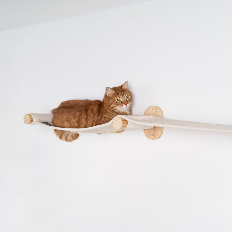 Everest Blackline Cream | Cat wall climbing and wall system set from RHR Pets