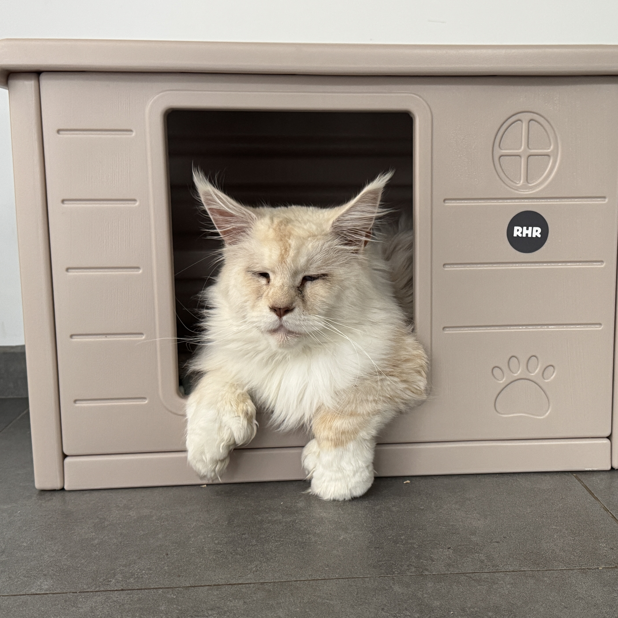 Cat House Villa de Luxe for Outside and Inside (Cappuccino)