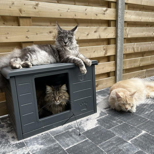 Cat House Villa de Luxe for Outside and Inside (Dark Grey)