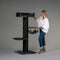 Cat Tree Royalty Blackline Crown (Dark Grey)