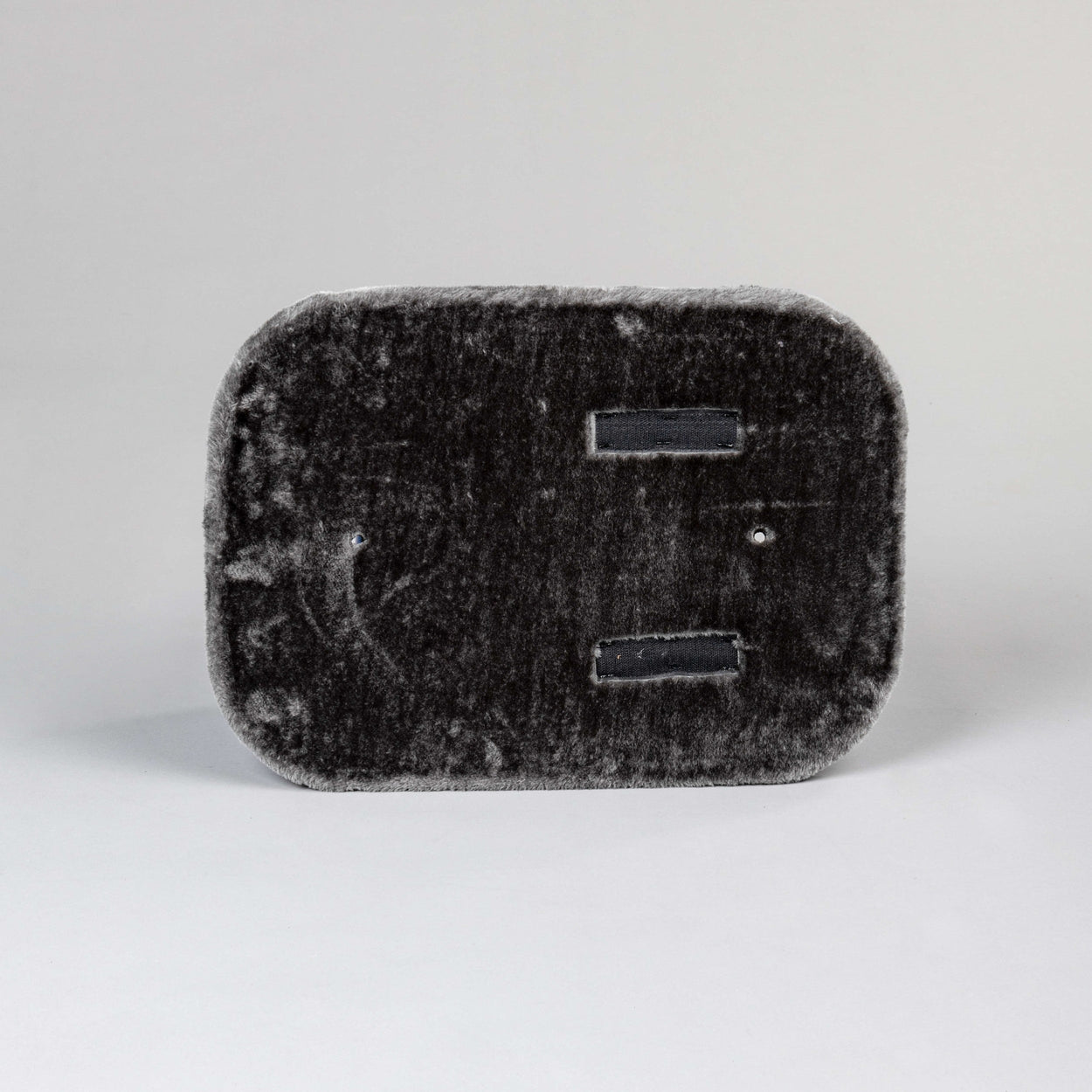 Middle Panel Dark Grey, Devon Rex 50 x 35 cm