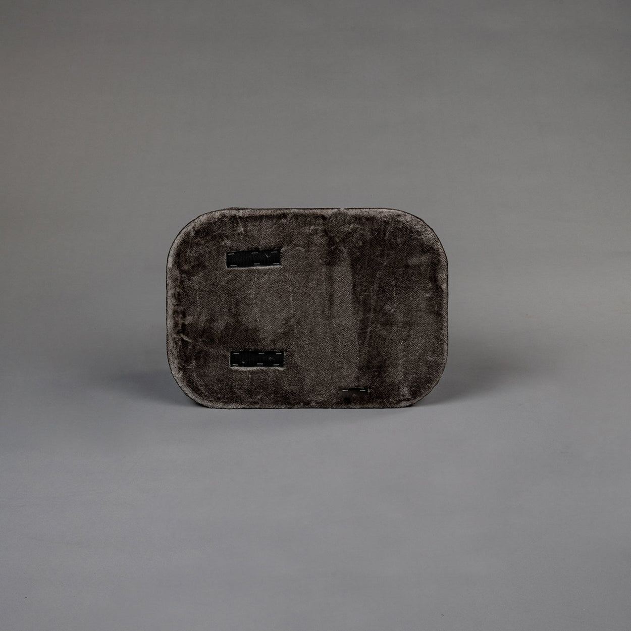 Middle Panel Taupe, Devon Rex 50 x 35 cm