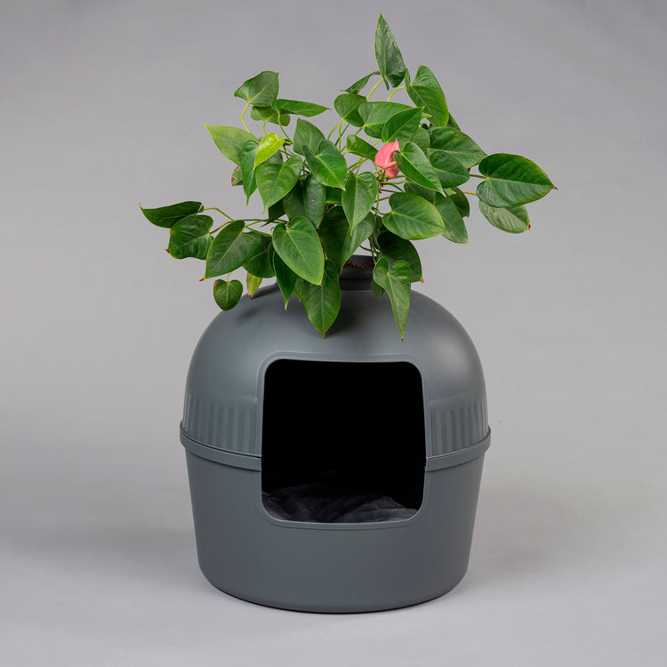 Litter Box Flower XXL Hidden Cat Toilet Dark Grey from RHR Pets