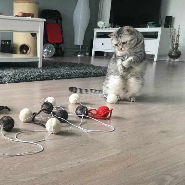 Multifunctional Cat toy set - Sisal and Fabric Ball Set (Multicolour)