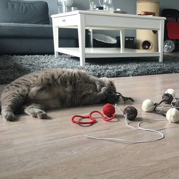 Multifunctional Cat toy set - Sisal and Fabric Ball Set (Multicolour)