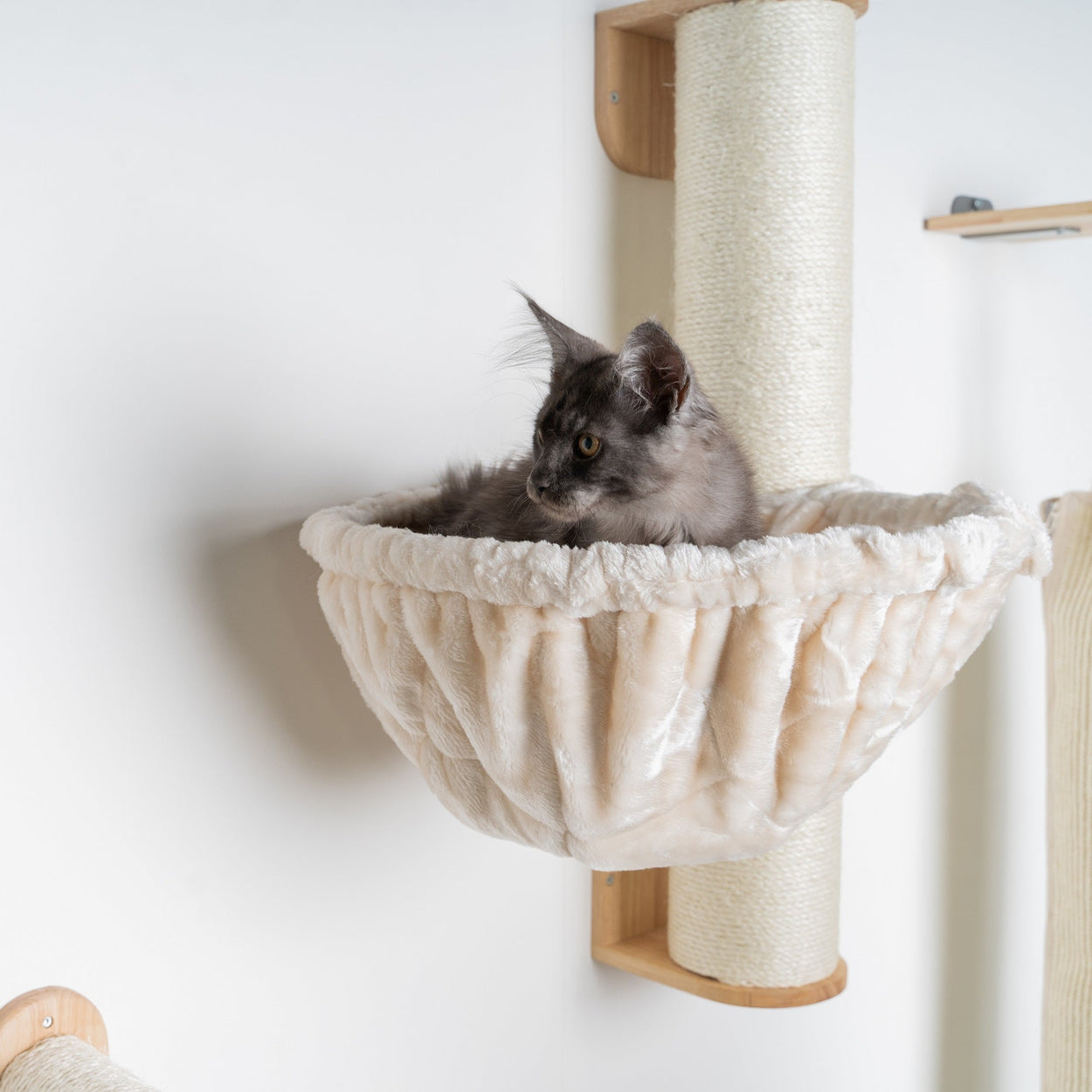 Cat Climbing Wall - Wall Sisalpole XXL with 45Ø Hammock de Luxe (Beige)